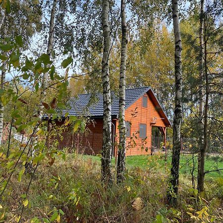 Domek Letniskowy Pod Brzozami Na Roztoczu Wsrod Lasow, Zamosc, Krasnobrod, Zwierzyniec Adamow  外观 照片