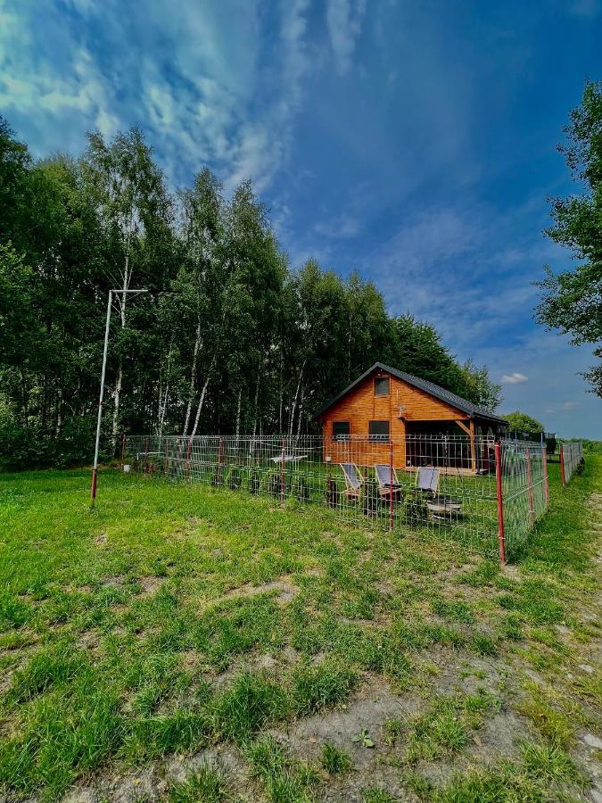 Domek Letniskowy Pod Brzozami Na Roztoczu Wsrod Lasow, Zamosc, Krasnobrod, Zwierzyniec Adamow  外观 照片