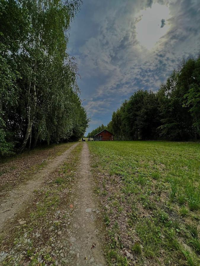 Domek Letniskowy Pod Brzozami Na Roztoczu Wsrod Lasow, Zamosc, Krasnobrod, Zwierzyniec Adamow  外观 照片