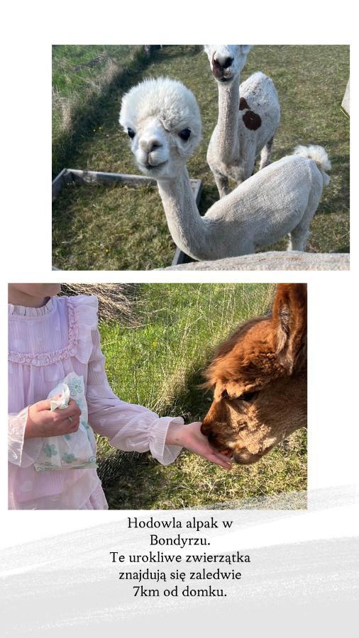 Domek Letniskowy Pod Brzozami Na Roztoczu Wsrod Lasow, Zamosc, Krasnobrod, Zwierzyniec Adamow  外观 照片