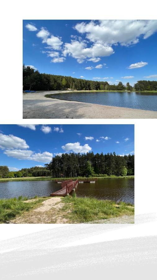Domek Letniskowy Pod Brzozami Na Roztoczu Wsrod Lasow, Zamosc, Krasnobrod, Zwierzyniec Adamow  外观 照片
