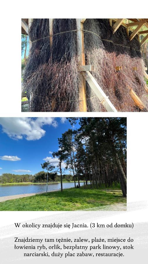 Domek Letniskowy Pod Brzozami Na Roztoczu Wsrod Lasow, Zamosc, Krasnobrod, Zwierzyniec Adamow  外观 照片