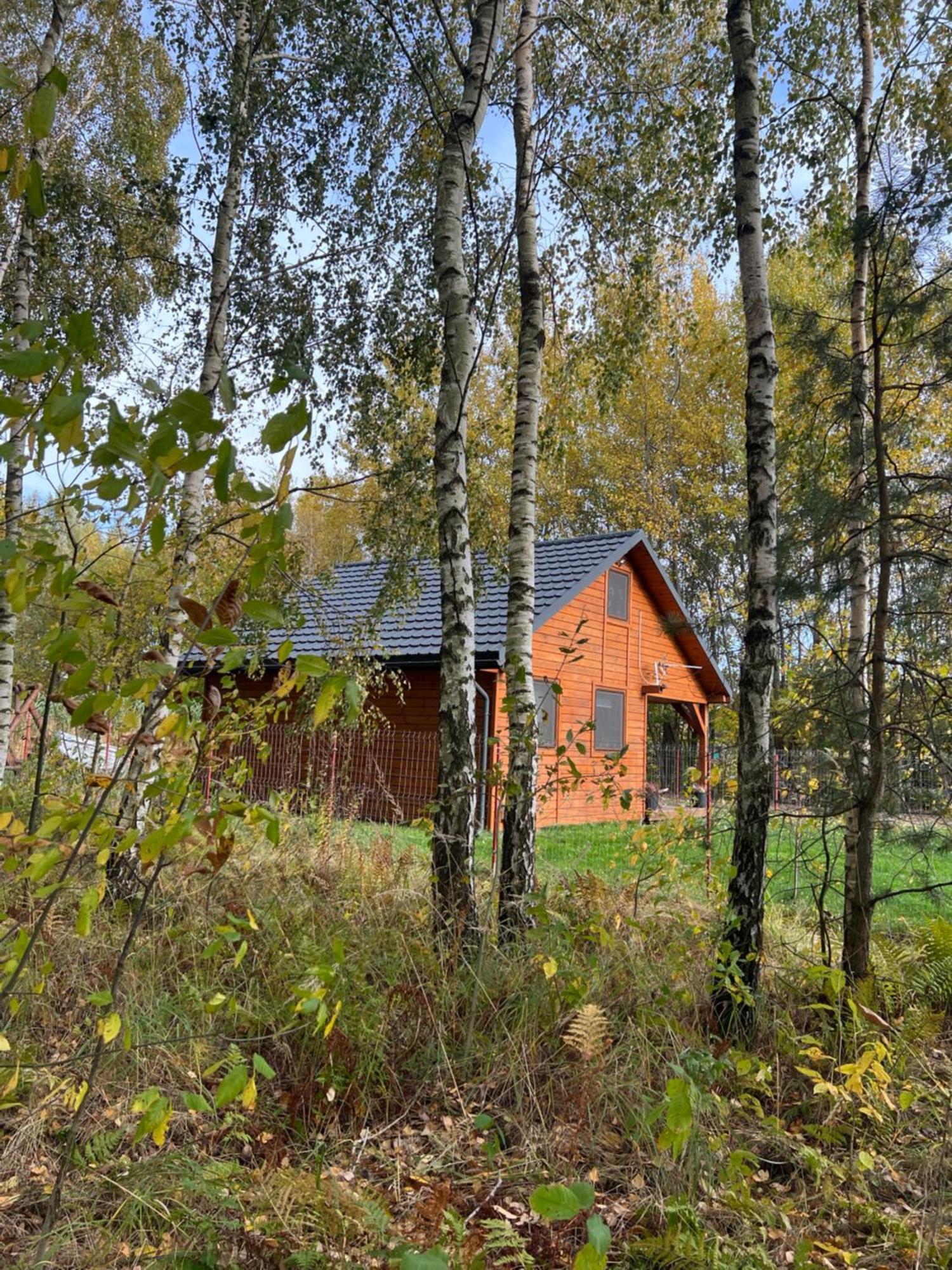 Domek Letniskowy Pod Brzozami Na Roztoczu Wsrod Lasow, Zamosc, Krasnobrod, Zwierzyniec Adamow  外观 照片